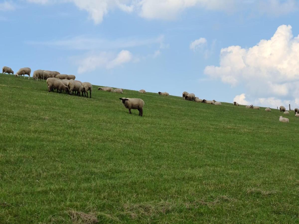 Haus Meererleben - Urlaub Mit Hund An Der Nordsee Schweiburg Exterior foto
